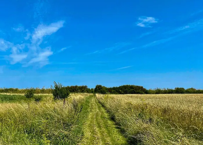 Artist's House In First Row By Smalandshavet *